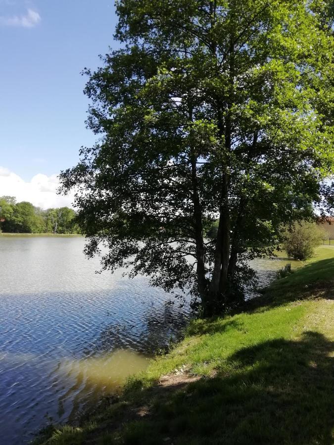Au Clos De L'Etang Ravel ภายนอก รูปภาพ